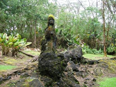 Lava Tree Mold Puna Hawaii